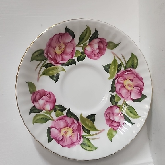 Royal Standard Fine Bone China England Tea Cup & Saucer - Picture 2 of 5